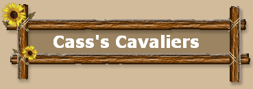 Cass's Cavaliers