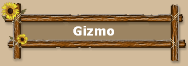 Gizmo