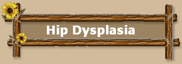 Hip Dysplasia