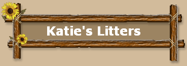 Katie's Litters