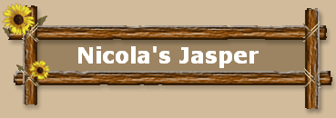 Nicola's Jasper