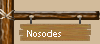 Nosodes