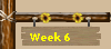 Week 6
